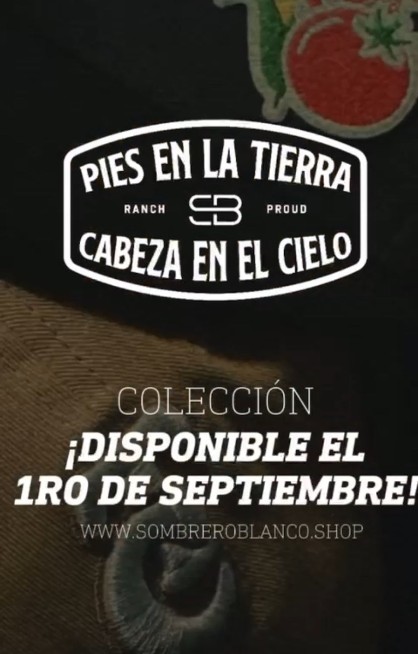 Cargar video: 